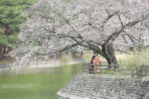 rIMG_0702